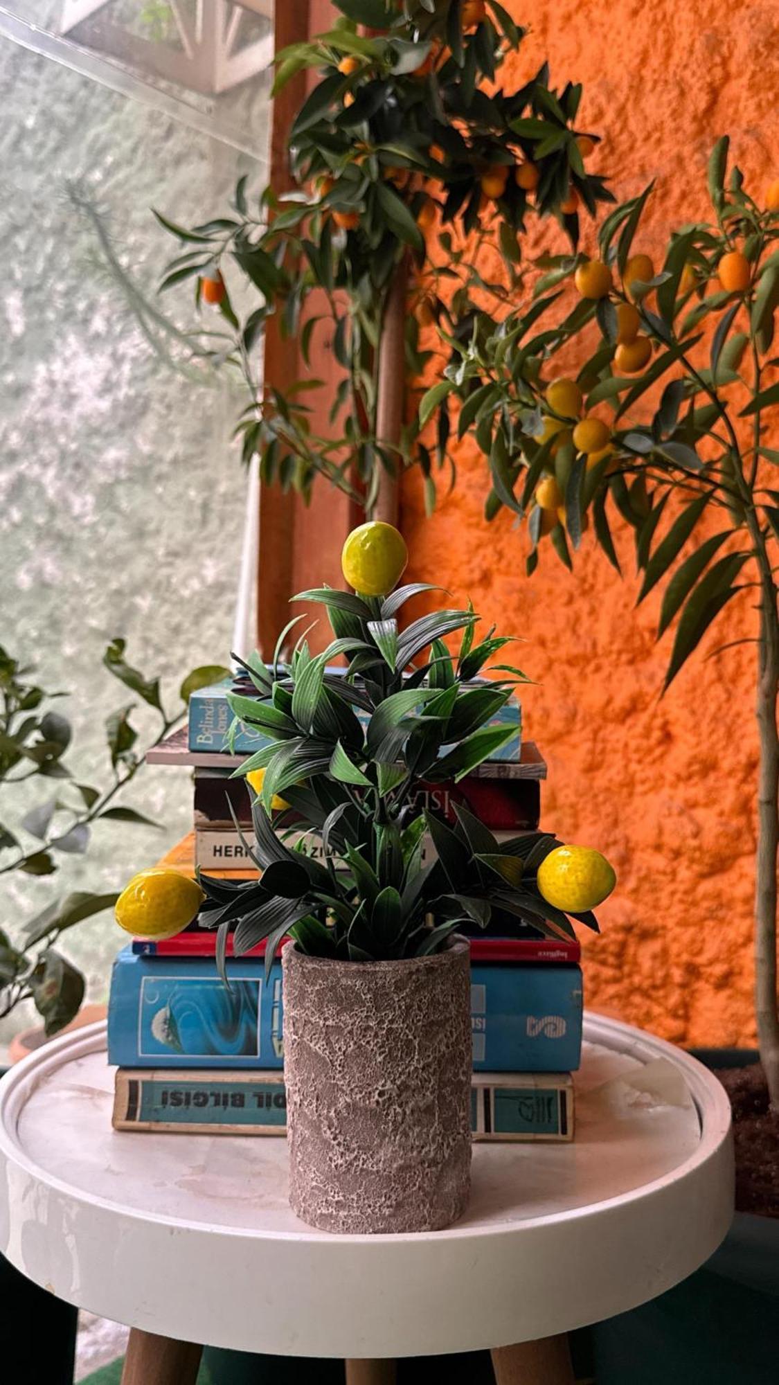 Limon Hotel Edirne Eksteriør billede